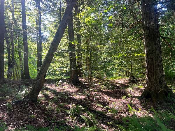 23.7 Acres of Recreational Land for Sale in Camden, New York