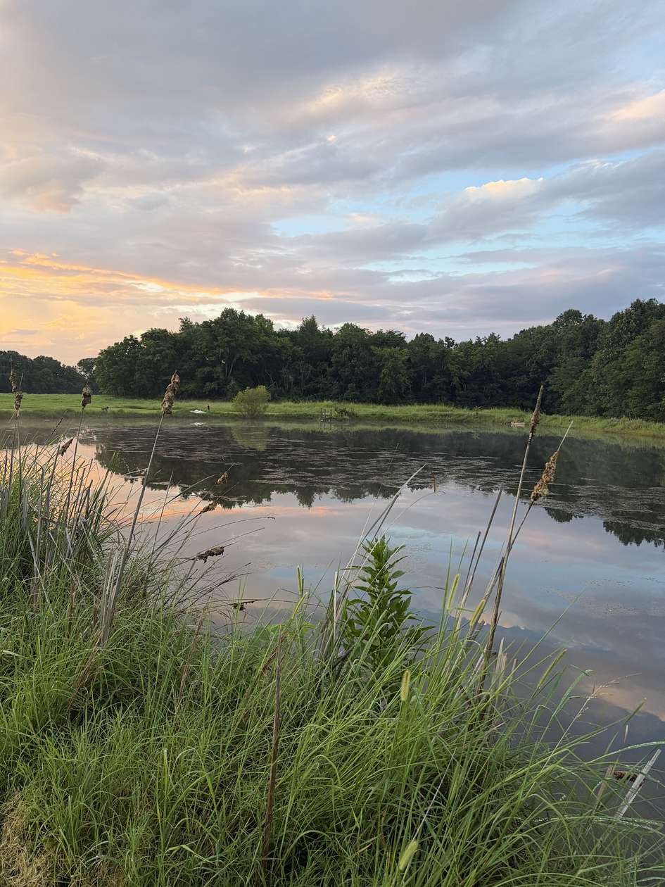 34.8 Acres of Land with Home for Sale in Hopkinsville, Kentucky