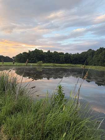 34.8 Acres of Land with Home for Sale in Hopkinsville, Kentucky