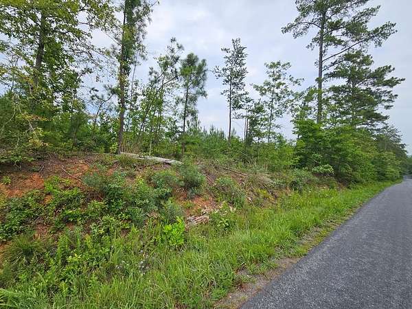 2.67 Acres of Residential Land for Sale in Arvonia, Virginia