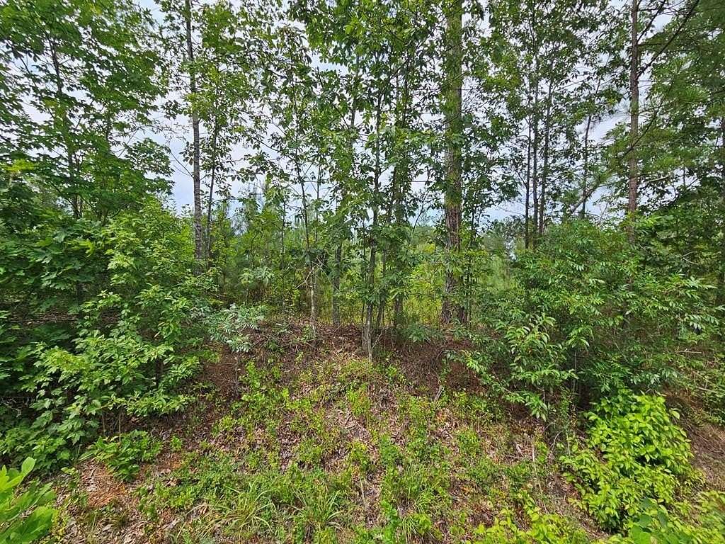 2.78 Acres of Land for Sale in Arvonia, Virginia