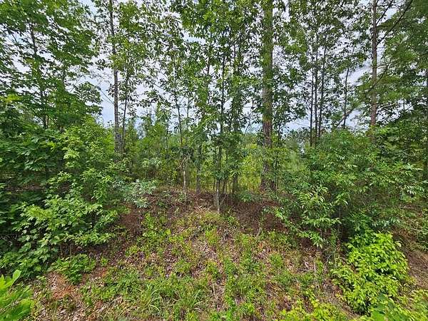 2.78 Acres of Land for Sale in Arvonia, Virginia