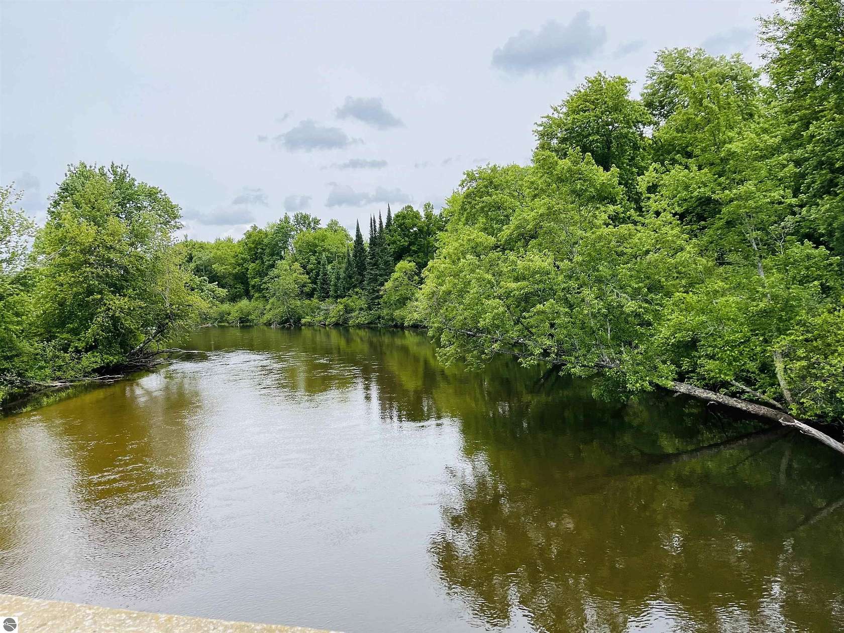 67 Acres of Recreational Land for Sale in Fife Lake, Michigan