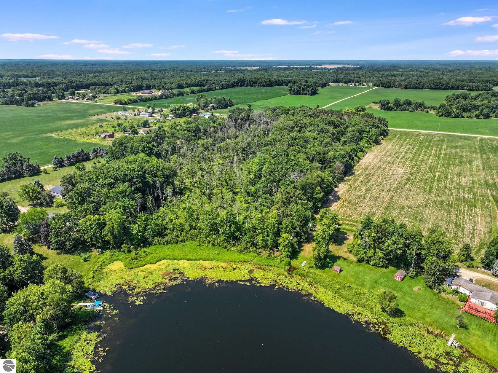 15.9 Acres of Land for Sale in Riverdale, Michigan