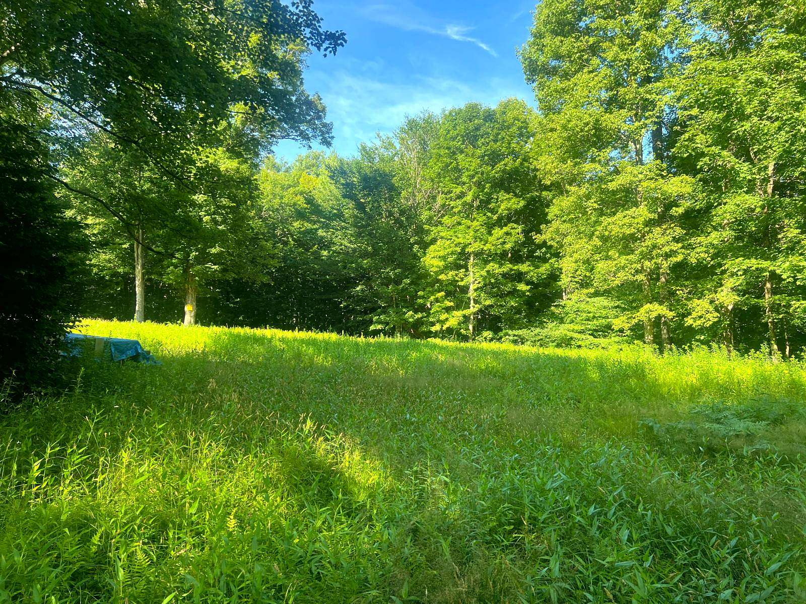 28.8 Acres of Recreational Land for Sale in Camden, New York