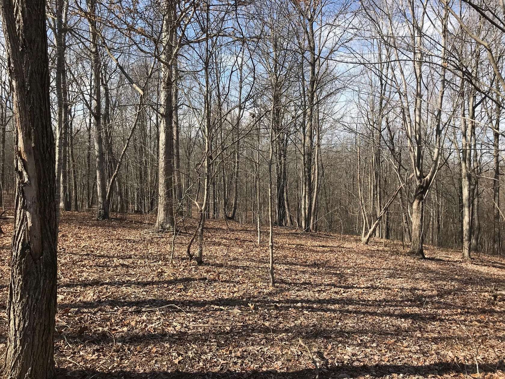 2 Acres of Residential Land for Sale in Dunlap, Tennessee