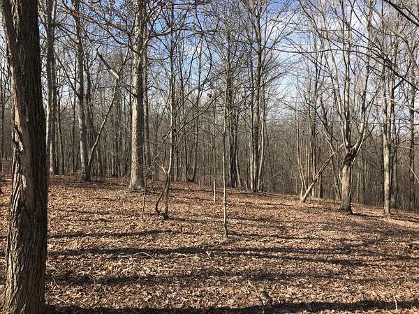 2 Acres of Residential Land for Sale in Dunlap, Tennessee