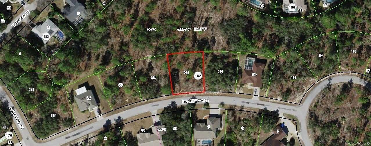 0.28 Acres of Land for Sale in Homosassa, Florida
