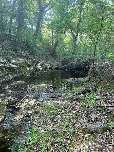 218 Acres of Recreational Land for Sale in Grandview, Texas