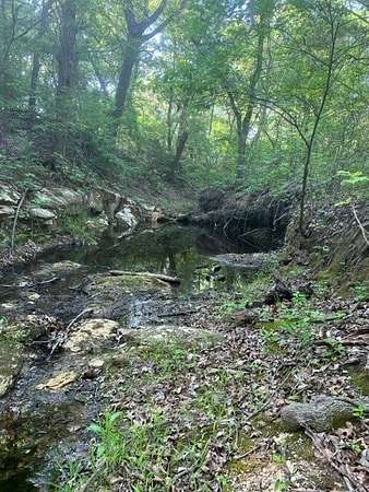 218 Acres of Recreational Land for Sale in Grandview, Texas