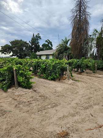 20 Acres of Land with Home for Sale in Fresno, California