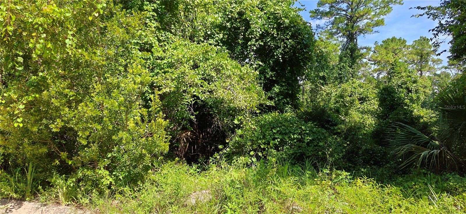 1 Acre of Residential Land for Sale in Satsuma, Florida