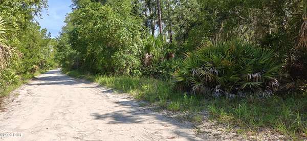 1 Acre of Residential Land for Sale in Satsuma, Florida