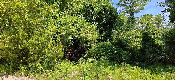1 Acre of Residential Land for Sale in Satsuma, Florida