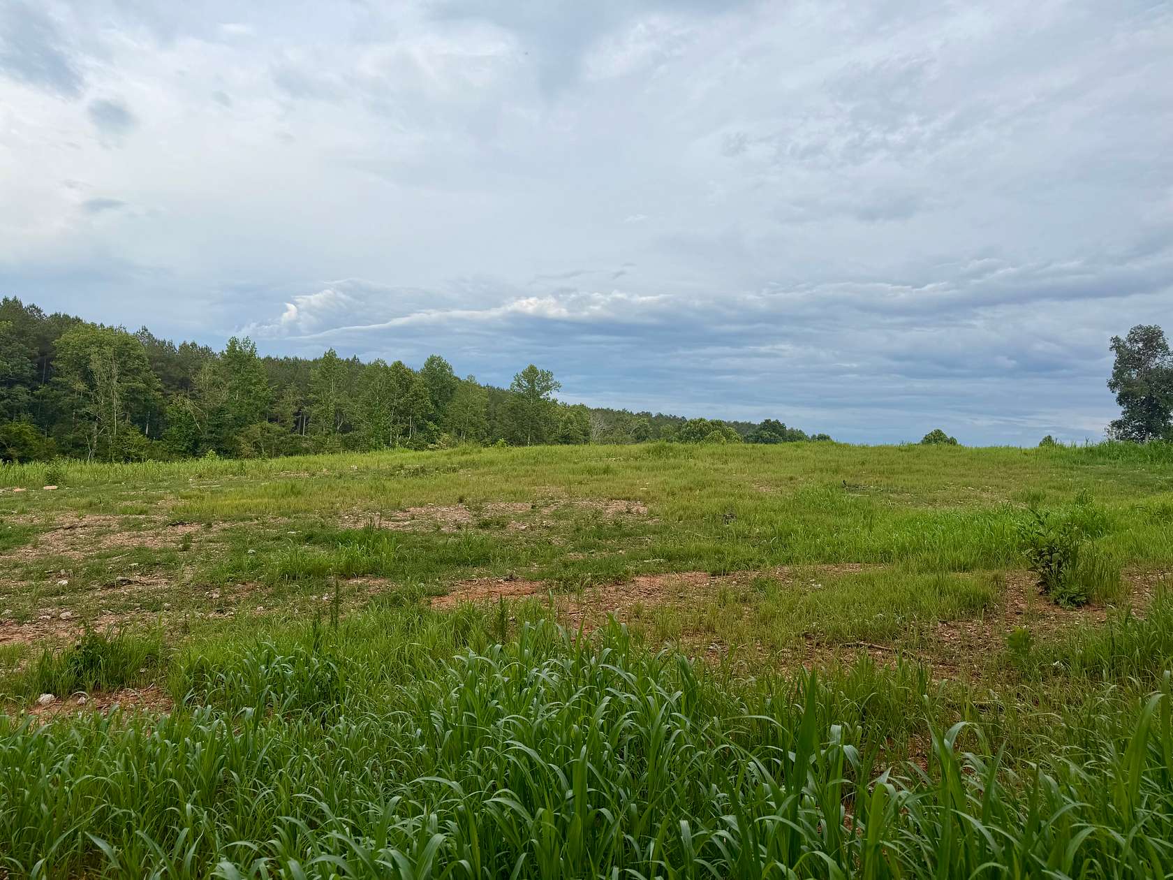 25.7 Acres of Recreational & Residential Land for Sale in Star, North Carolina