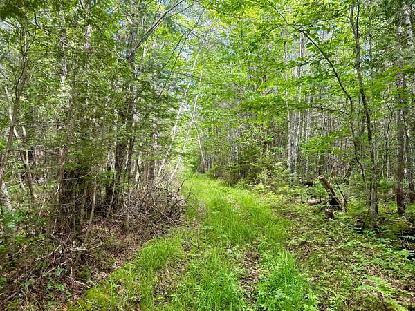 2 Acres of Residential Land for Sale in Harmony, Maine