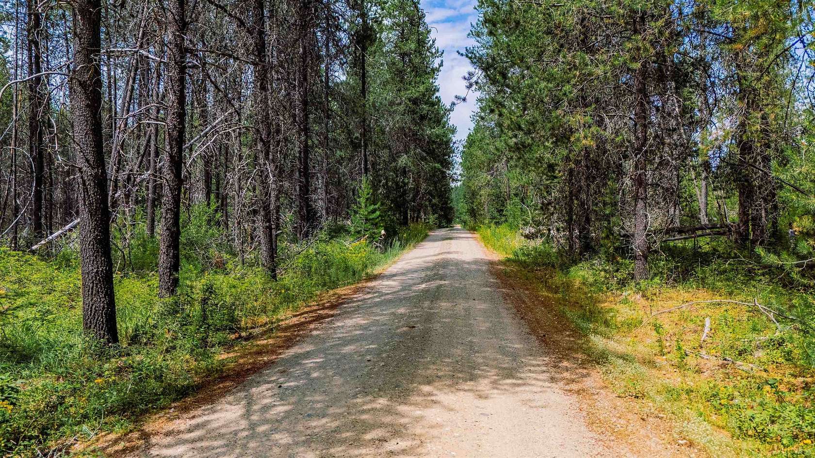 10.3 Acres of Land for Sale in Newport, Washington