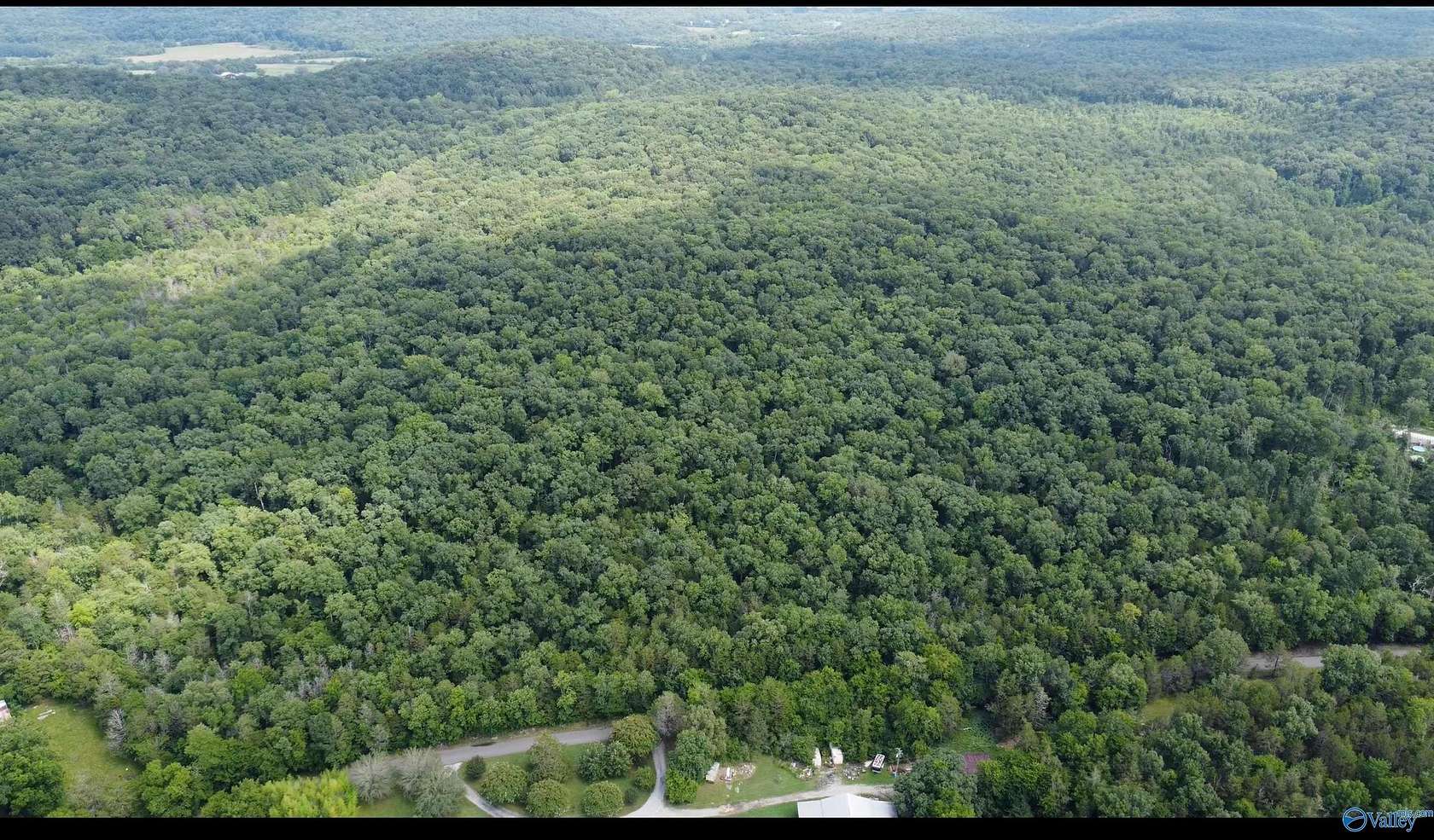 15 Acres of Land for Sale in Woodville, Alabama