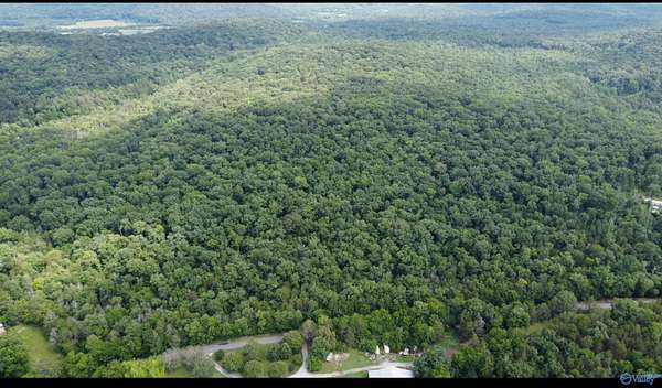 15 Acres of Land for Sale in Woodville, Alabama