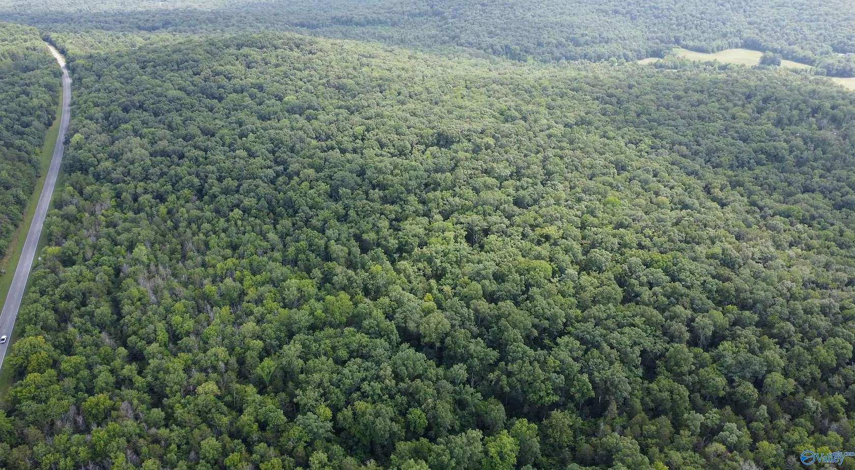 11 Acres of Land for Sale in Woodville, Alabama