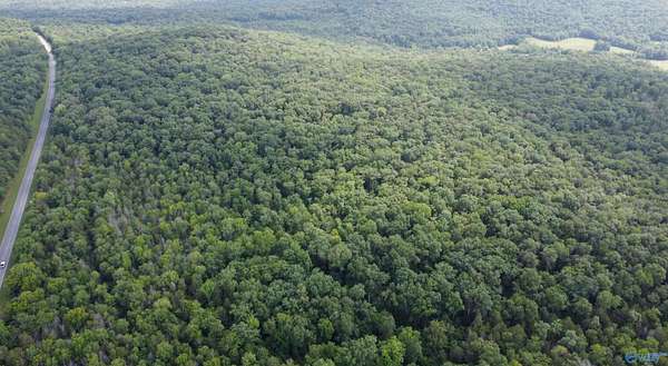 11 Acres of Land for Sale in Woodville, Alabama