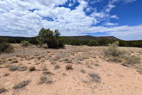 20.8 Acres of Recreational Land for Sale in Mountainair, New Mexico