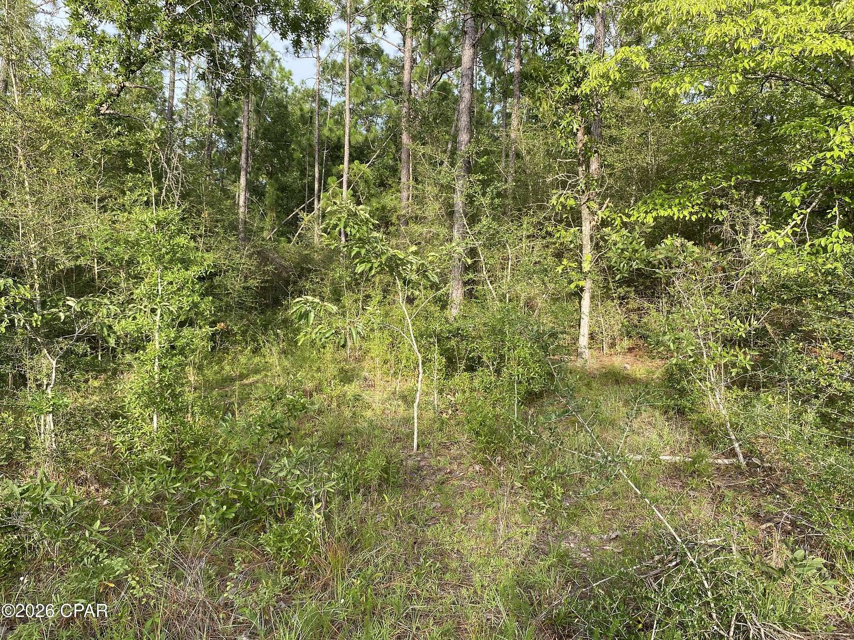 1.12 Acres of Land for Sale in Alford, Florida