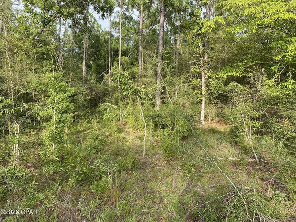 1.12 Acres of Land for Sale in Alford, Florida