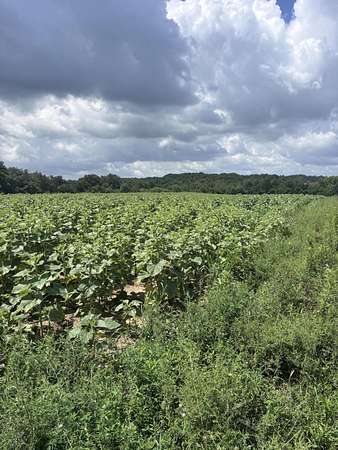 40.7 Acres of Agricultural & Residential Land for Sale in Lexington, Kentucky
