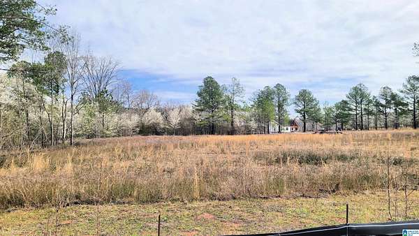 2.38 Acres of Residential Land for Sale in Harpersville, Alabama