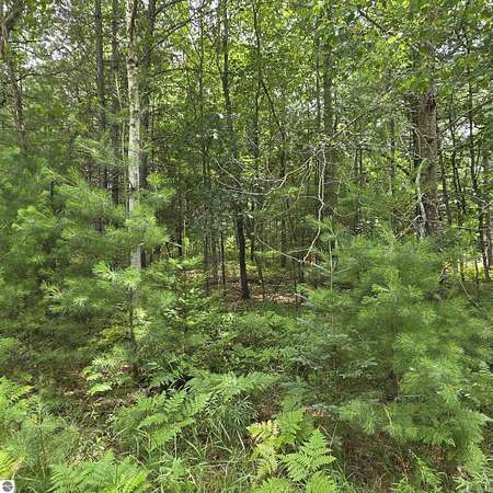 0.39 Acres of Residential Land for Sale in Oscoda, Michigan