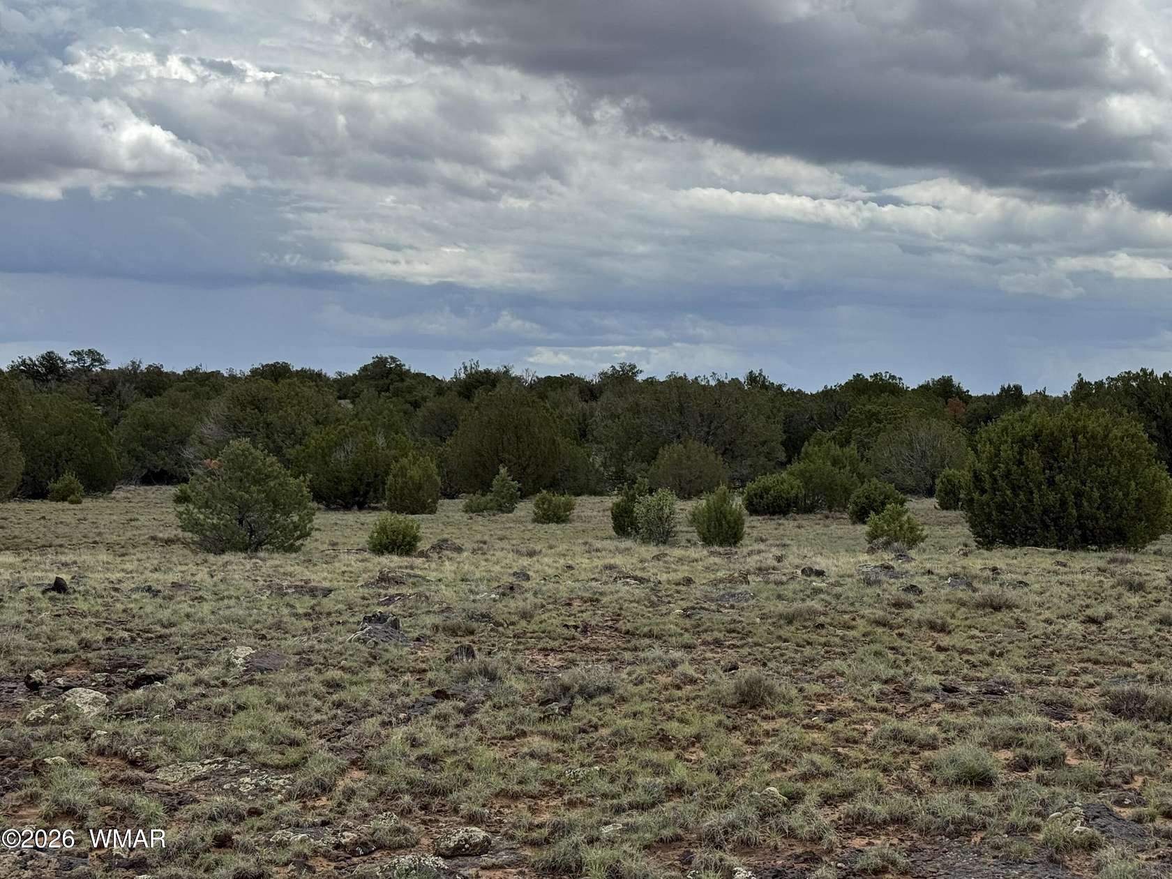 1.13 Acres of Residential Land for Sale in Concho, Arizona