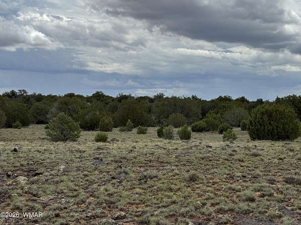 1.13 Acres of Residential Land for Sale in Concho, Arizona