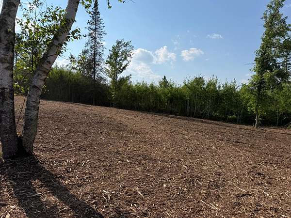 29.8 Acres of Land for Sale in Kerrick, Minnesota