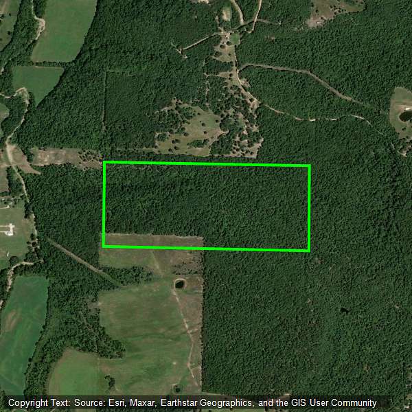 83.3 Acres of Land for Sale in Alpena, Arkansas