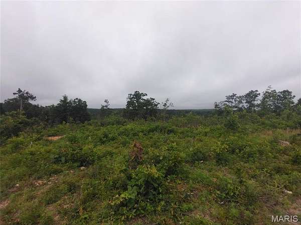 19 Acres of Recreational & Residential Land for Sale in Belleview, Missouri
