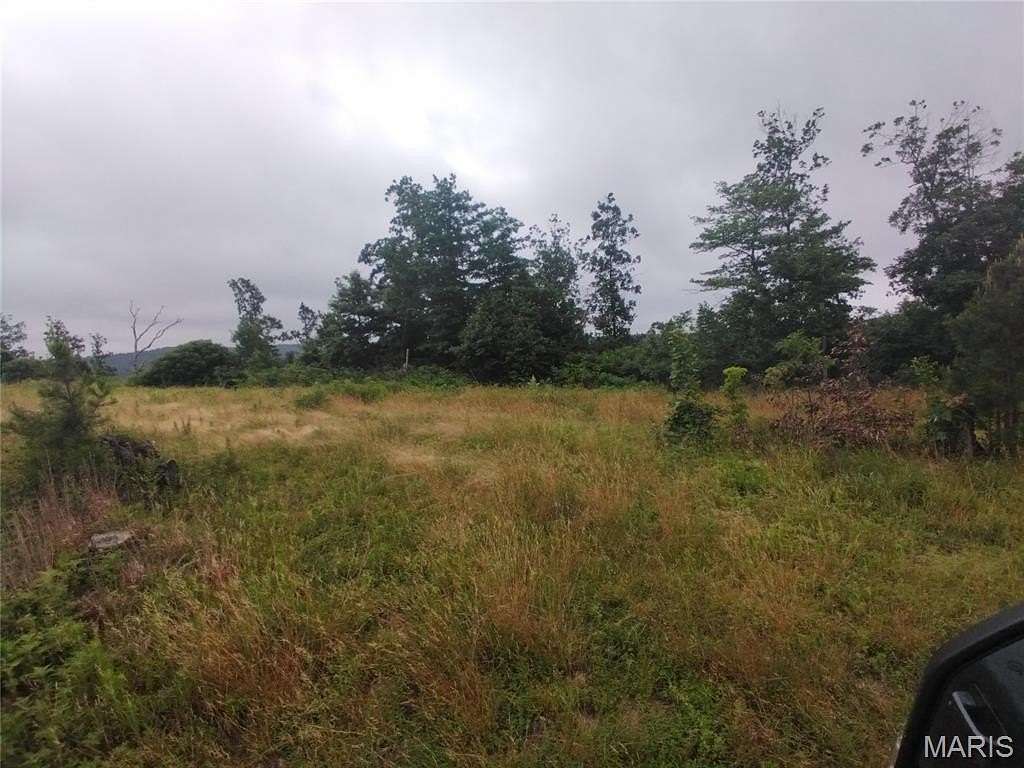 18.6 Acres of Land for Sale in Belleview, Missouri