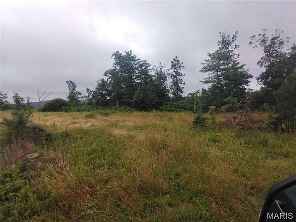 18.6 Acres of Land for Sale in Belleview, Missouri
