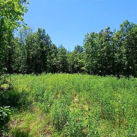 61 Acres of Land for Sale in Annapolis, Missouri
