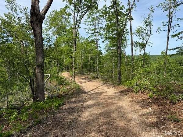 20 Acres of Recreational & Residential Land for Sale in Eminence, Missouri