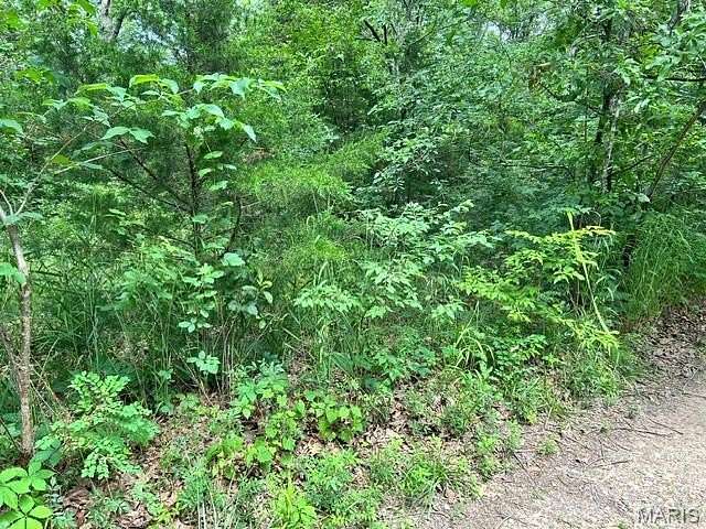 0.23 Acres of Residential Land for Sale in Bismarck, Missouri