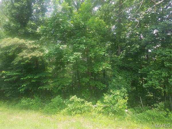 0.69 Acres of Residential Land for Sale in Van Buren, Missouri