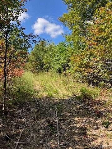 5.33 Acres of Land for Sale in Annapolis, Missouri