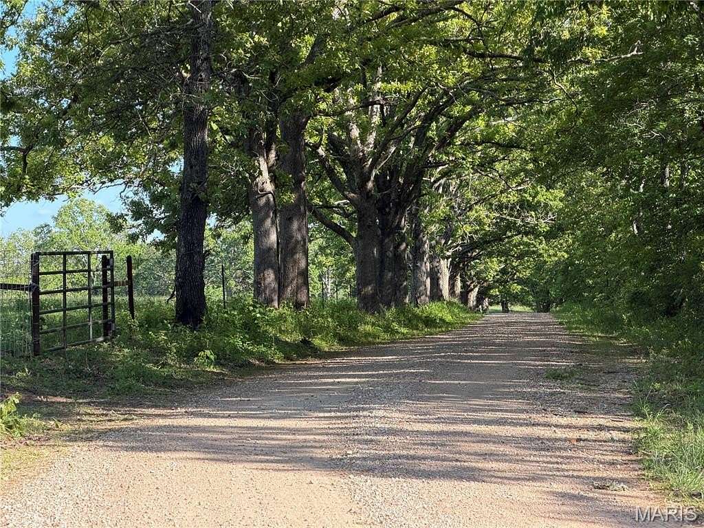 20 Acres of Land for Sale in Salem, Missouri