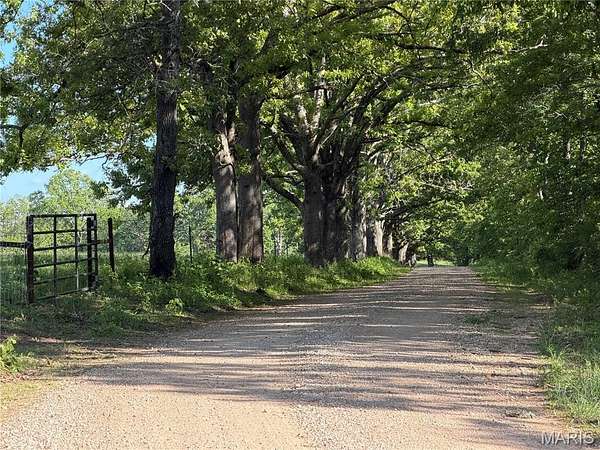 20 Acres of Land for Sale in Salem, Missouri