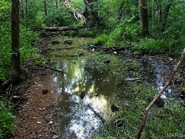 163 Acres of Recreational Land for Sale in Viburnum, Missouri