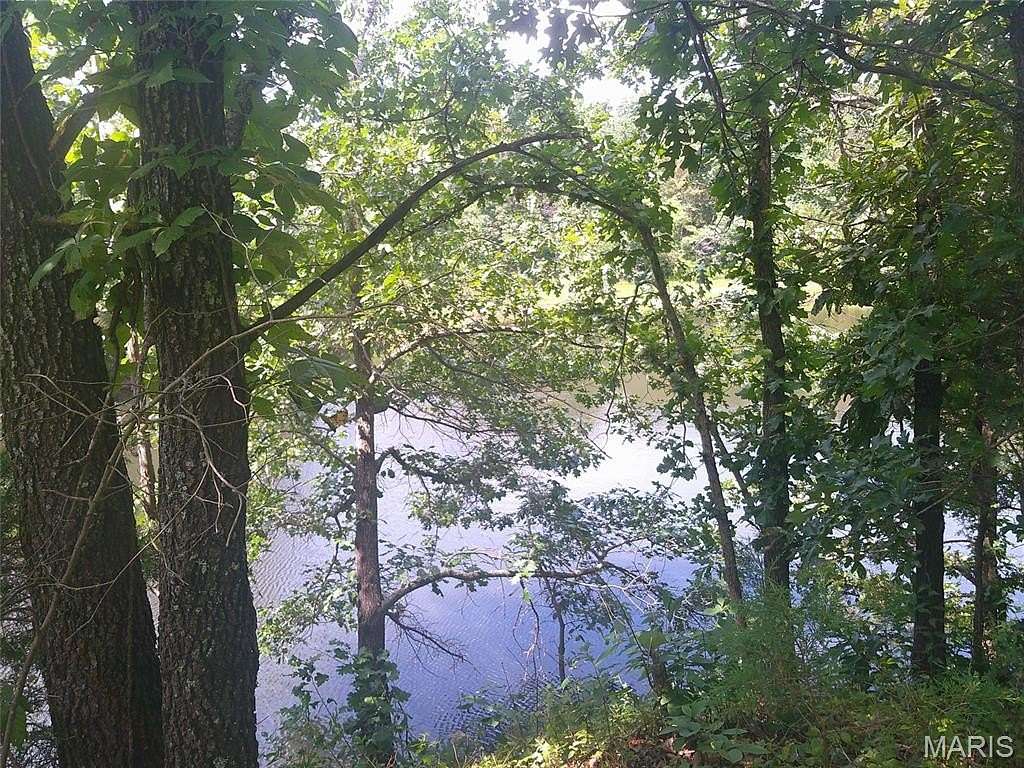 41.6 Acres of Land for Sale in Cadet, Missouri