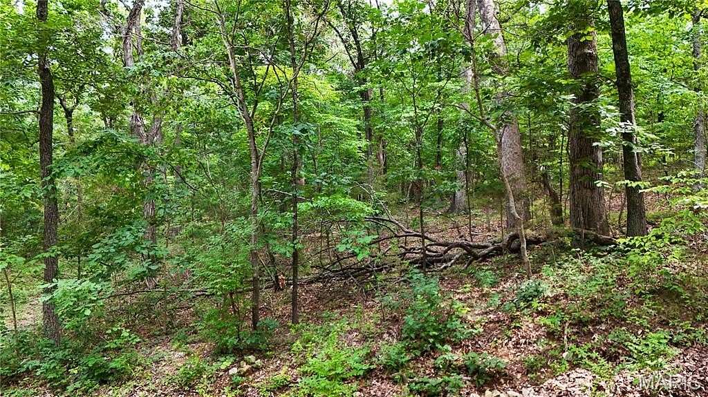 0.22 Acres of Residential Land for Sale in Hillsboro, Missouri
