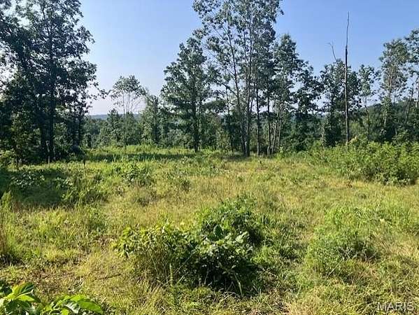 30.7 Acres of Recreational Land for Sale in Fredericktown, Missouri