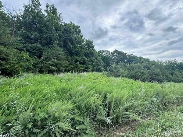 14.6 Acres of Recreational & Residential Land for Sale in New London, Missouri